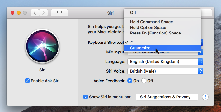 How to enable the “Hey Siri” command on your Mac - ChrisWrites.com